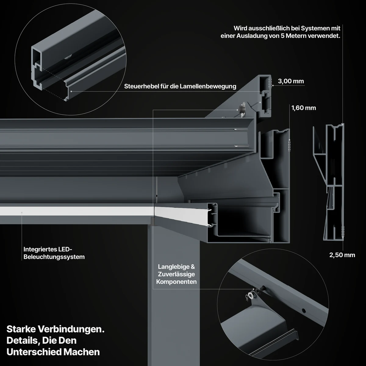 AxisLock™ – technische Detailansicht