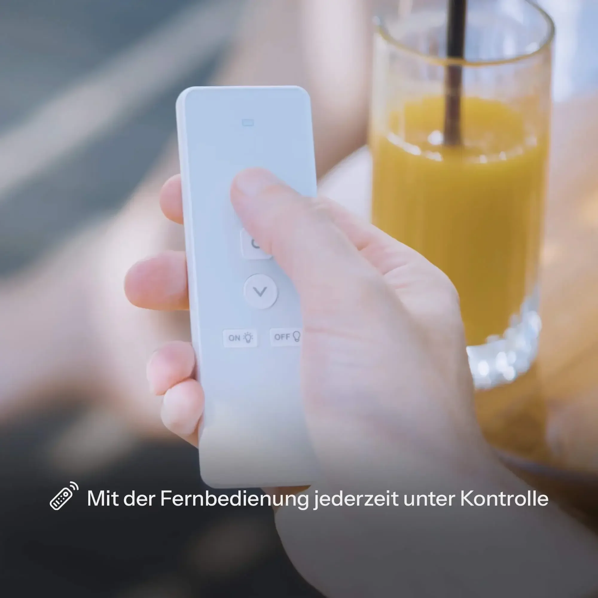 Fernbedienung mit Tasten für den elektrischen Lamellenantrieb und das Licht der HUUN Equa