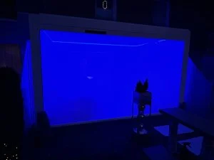 Kundenfoto zu HUUN Pergola Equa, Lamellendach elektrisch mit LED von Daniela K.