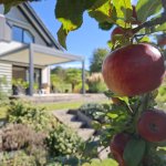 HUUN Pergola Equa, Lamellendach elektrisch mit LED photo review